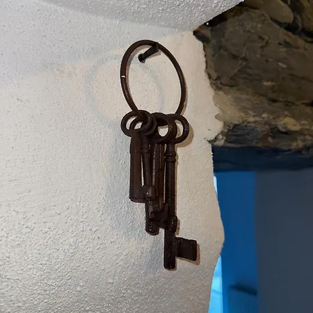 Teach Neil Mhanais * 팔카라