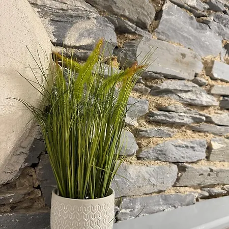 펜션 Teach Neil Mhanais 팔카라