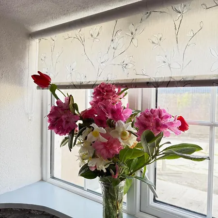 Teach Neil Mhanais 펜션 팔카라